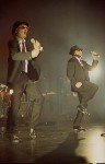 Thumbs/tn_088.jpg